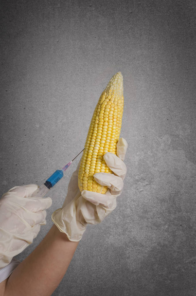 Mano con jeringa y maíz aislados sobre fondo oscuro
 - Foto, imagen