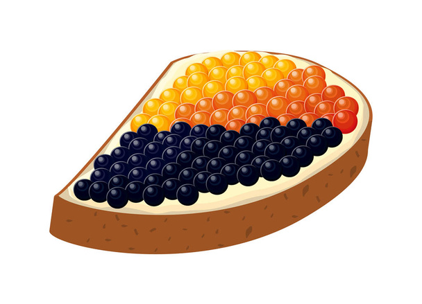 Vector illustration of the tasty sandwich with black and red caviar isolated on the white background. - Vector, Image