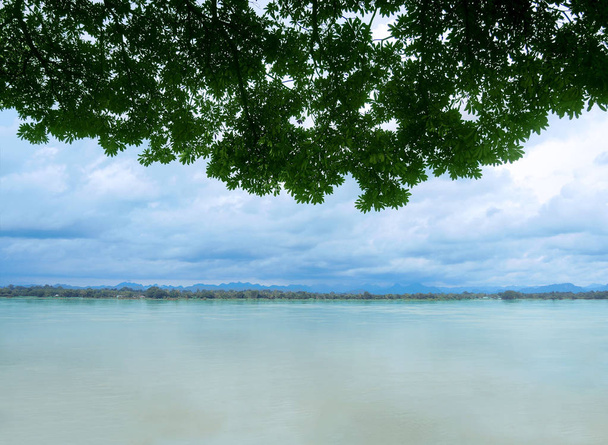 Verde deixar primeiro plano na vista lago
 - Foto, Imagem