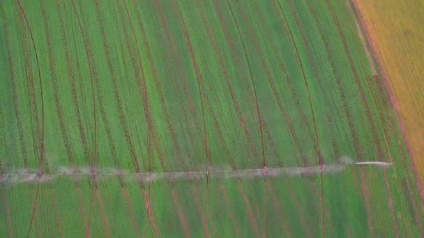 Aerial view. System splice watering of fields wheat field, the view from the top. Industrial farming. - Footage, Video
