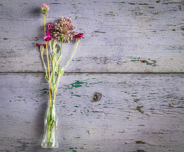 clover and wildflowers, weathered paint, copyspace, topview - Fotó, kép