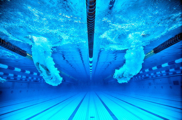 salto de nadadores em uma piscina - Foto, Imagem