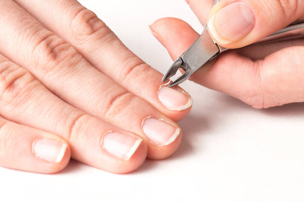 master of manicure cuts off the cuticle from the client fingers  - Foto, afbeelding