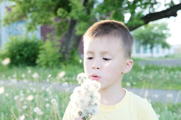 Little boy blowing dandelion flower at summer. Happy smiling child enjoying nature in park. Sun rays - Φωτογραφία, εικόνα