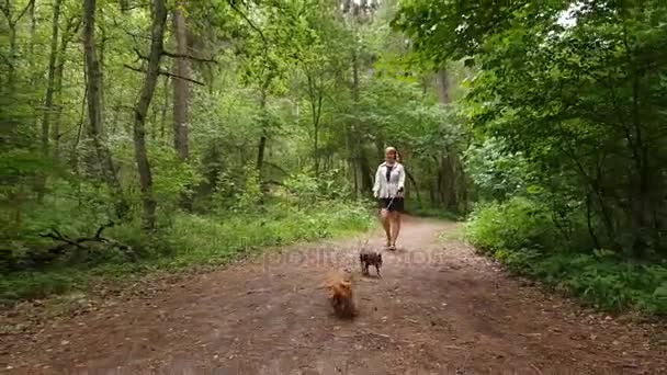 Jonge vrouw lopen in een bos - Video