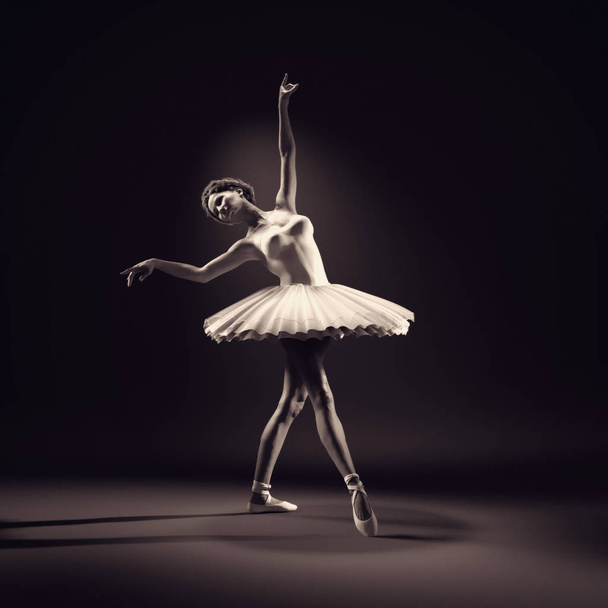 mladá a krásná baletka  - Fotografie, Obrázek