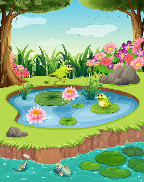 Frogs and fish in the pond - Vector, Image