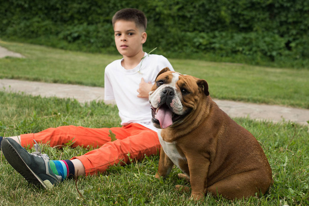 Boy and dog - Фото, изображение