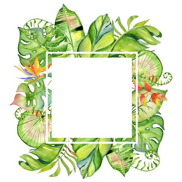 Watercolor tropical leaves frame - Foto, imagen
