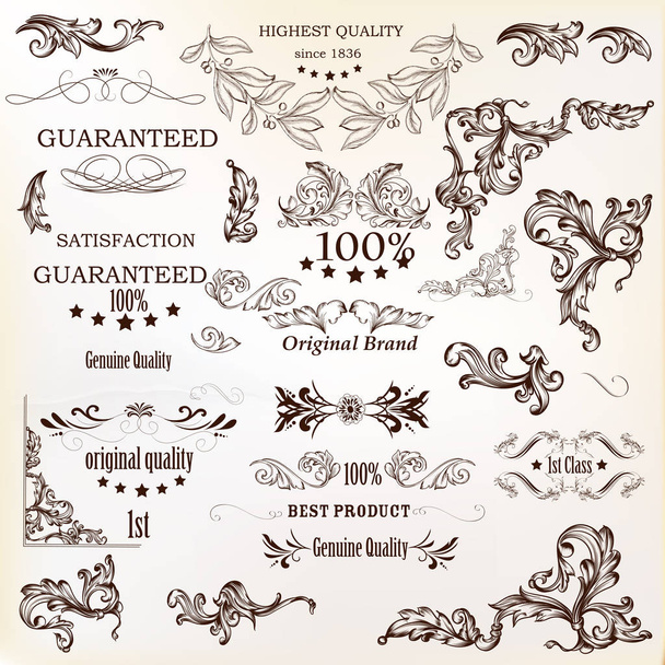 Calligraphic vector vintage design elements , decorations and sw - Вектор, зображення