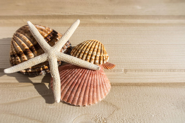 Bright wooden background with a collection of sea shells at the side, yellow, pink, white and broun shells of different forms and sizes and white starfish. Abstract composition of summer vacation. - Foto, imagen