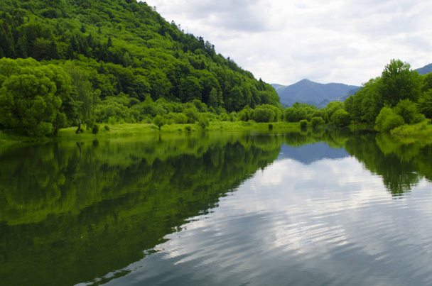 Paysage estival des Carpates avec lac Skole et arbres forestiers sur fond de montagnes. Réserve naturelle. Milieu naturel. Ukraine. - Photo, image