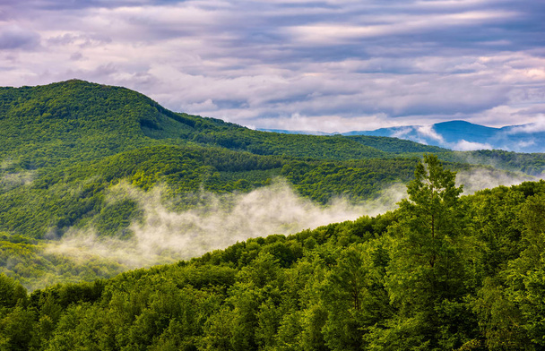 foggy mountain ridge over the forest in springtime - Foto, imagen