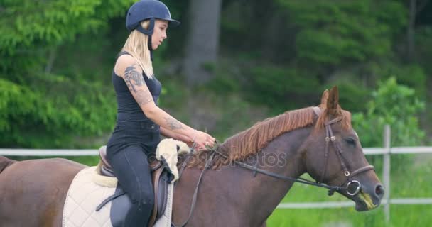 Krásná mladá žena na koni svého arabského koně na farmě - Záběry, video
