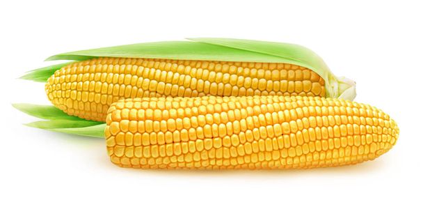 Два ізольовані кукурудзяні вуха
 - Фото, зображення