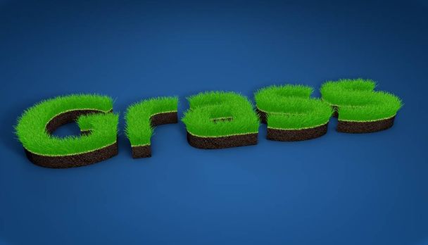 L'inscription herbe rendu 3D, pelouse herbe
 - Photo, image