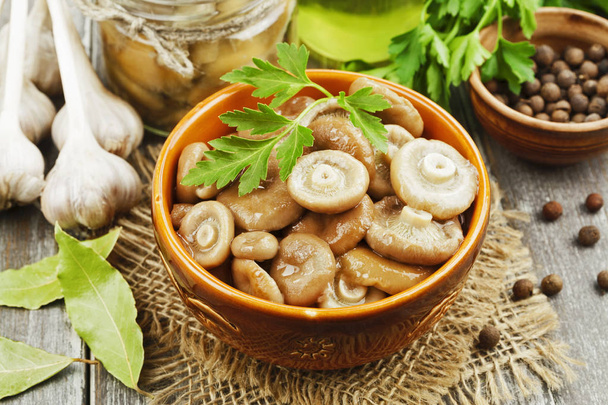 Pickled mushrooms in the ceramic bowl - Fotó, kép