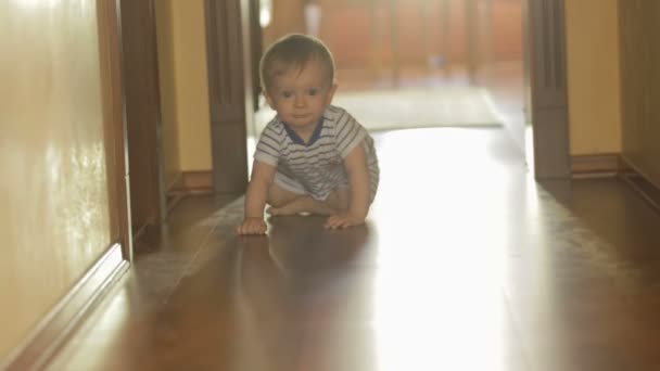 Lindo niño arrastrándose en el suelo de madera en casa
 - Metraje, vídeo