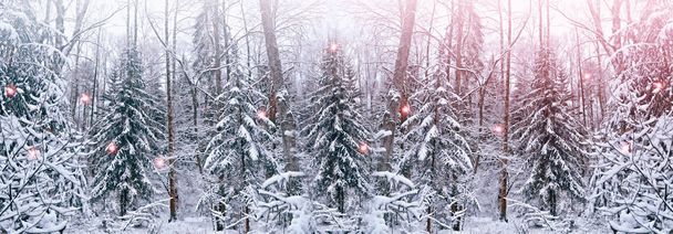  Ліс у морозі. Зимовий пейзаж. Снігові покриті деревами
 - Фото, зображення
