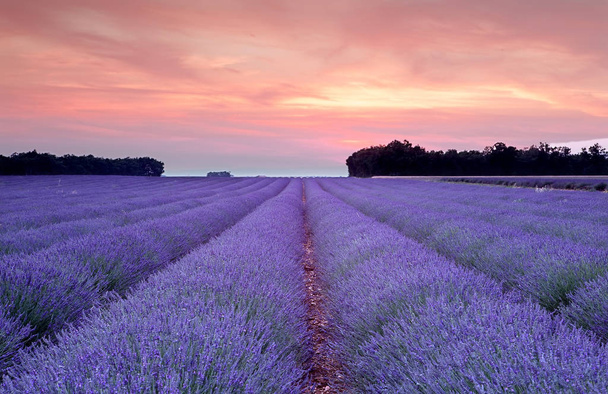 Coucher de soleil Provence en violet
 - Photo, image