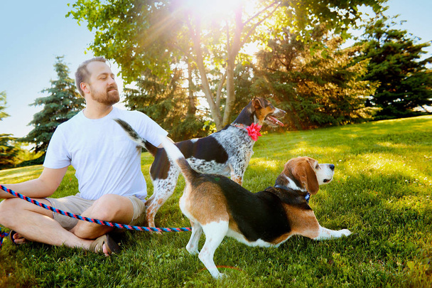 Smiling man keeping dogs on leash in summer - Foto, Imagen