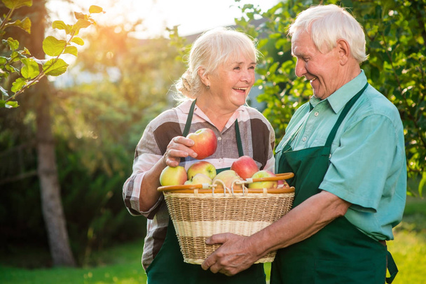 Old couple and apple basket. - Fotoğraf, Görsel