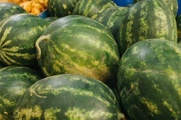 Many watermelons on the farm market. Local production, harvest. - 写真・画像