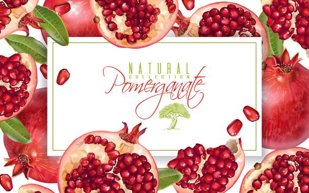 Pomegranate horizontal banner - Vector, imagen