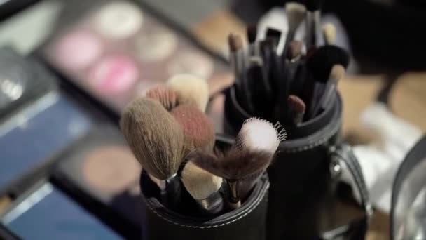 Professional makeup brushes - Záběry, video