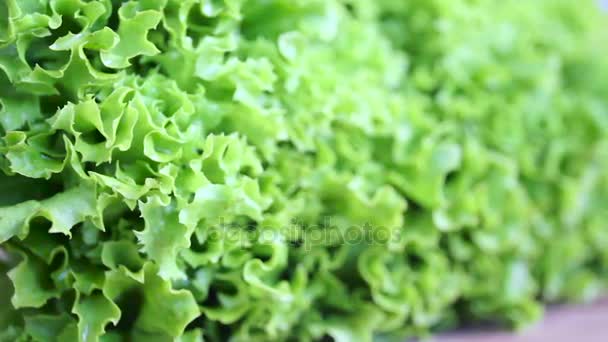 Demet taze yeşil salata iplik ile natürmort - Video, Çekim