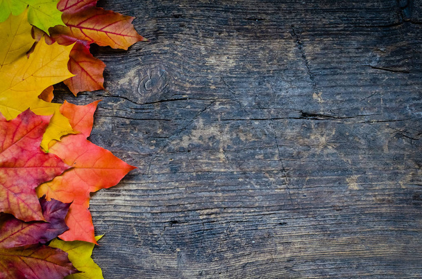 Fondo de otoño con hojas de otoño
 - Foto, imagen