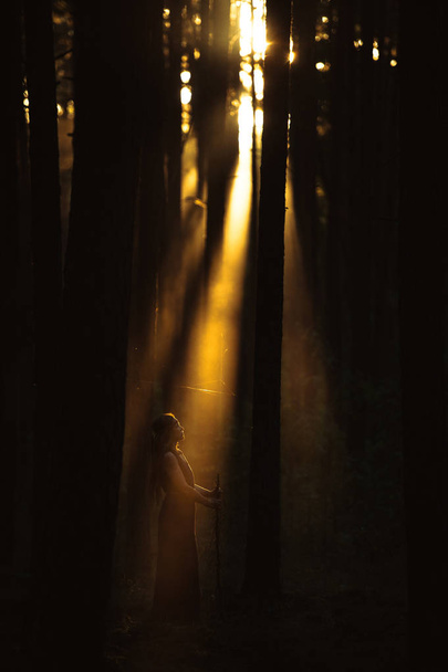 太陽の下で女の子光線森に立って - 写真・画像