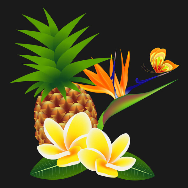 frangipani (plumeria) mit einer Paradiesblume und einem Schmetterling, mit Ananas auf schwarzem Hintergrund. - Vektor, Bild
