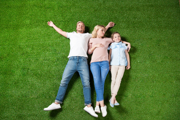family lying on green grass - Φωτογραφία, εικόνα