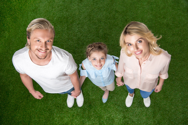 family standing on grass - Photo, Image