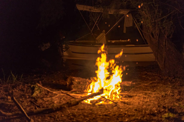 夜のキャンプの火 - 写真・画像