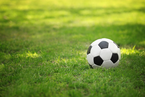 Soccer ball on grass  - Fotoğraf, Görsel