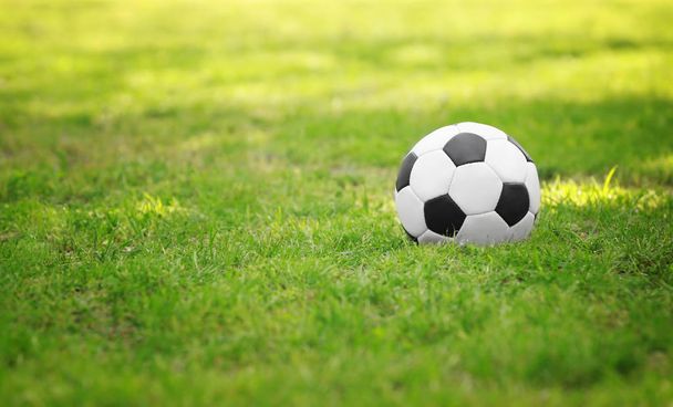 Soccer ball on grass  - Foto, imagen