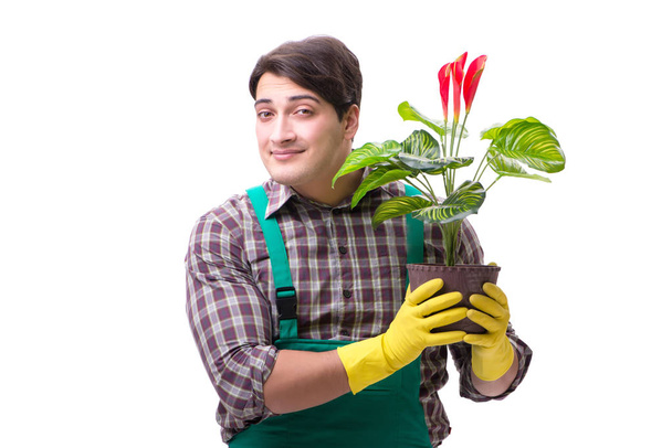 Jovem jardineiro isolado em branco - Foto, Imagem