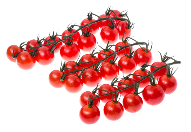 Branche de tomates cerises mûres rouges avec gouttes d'eau
 - Photo, image