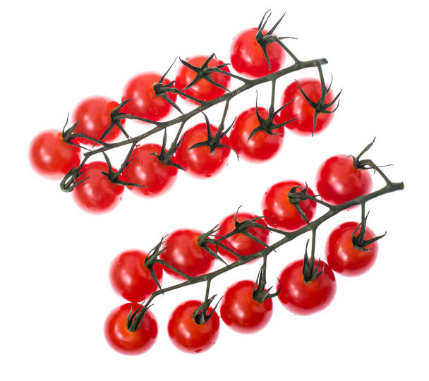 Branche de tomates cerises mûres rouges avec gouttes d'eau
 - Photo, image