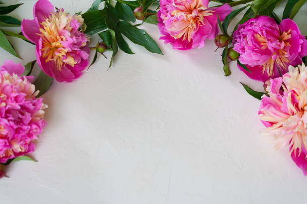 Pink peonies on white background - Φωτογραφία, εικόνα