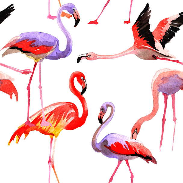 Sky bird flamingo pattern in a wildlife by watercolor style. - Foto, immagini