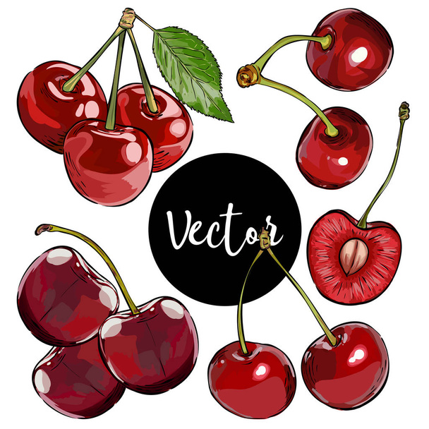Vector Cherry instellen - Vector, afbeelding