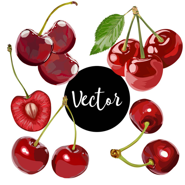 Vector Cherry instellen - Vector, afbeelding