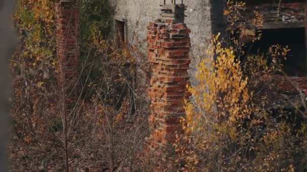 Elhagyott házak turisztikai központ szívében, a Kárpátok, Ukrajna nyugati - Felvétel, videó