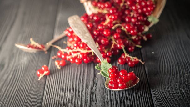 red current berry in silver spoon - Φωτογραφία, εικόνα