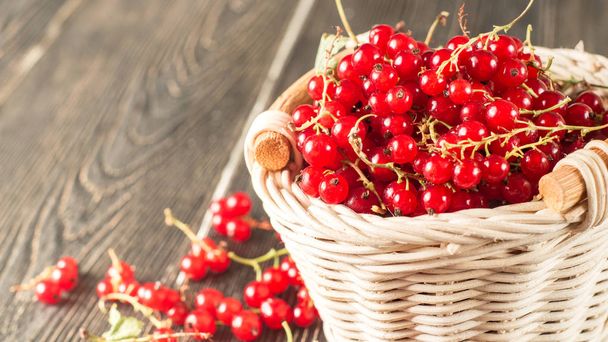 red currant in basket - Foto, afbeelding