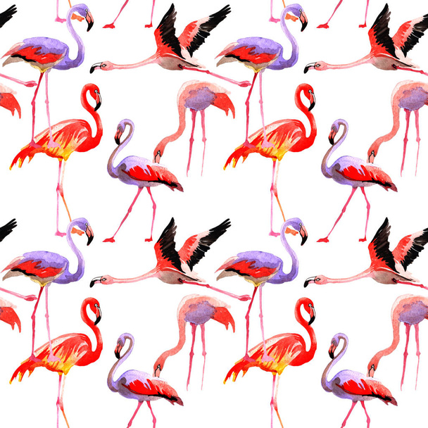 Sky bird flamingo pattern in a wildlife by watercolor style. - 写真・画像
