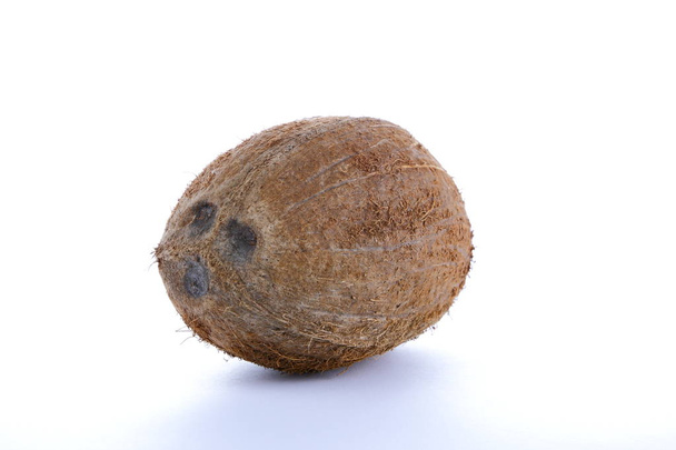 Coconut on a white background - Foto, Bild